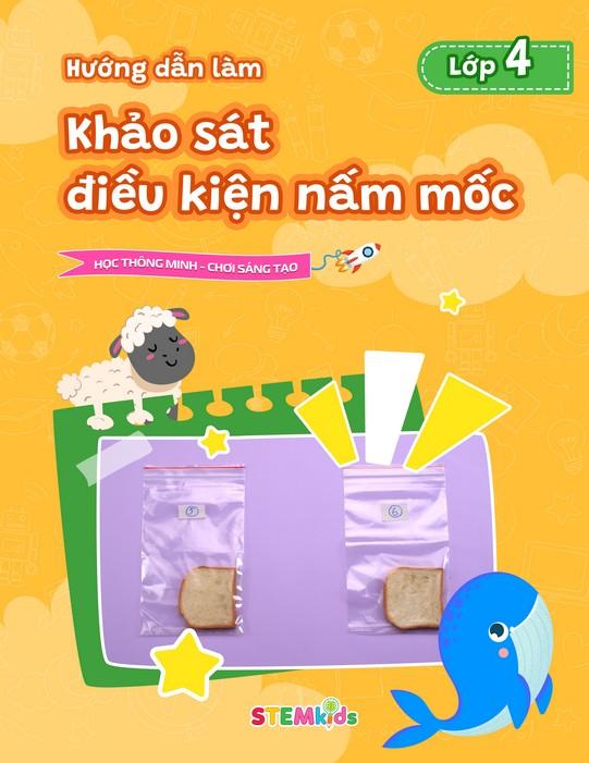 Khảo sát điều kiện nấm mốc