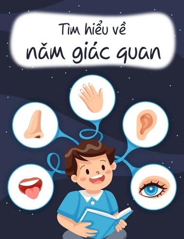 Tìm hiểu về năm giác quan